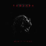 Tamasha - Panther Song Download